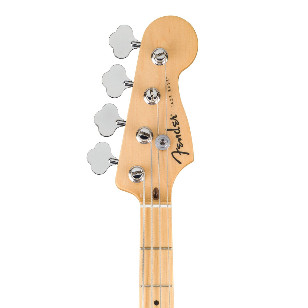 Fender Standard Jazz Bass Akçağaç Klavye Black Bas Gitar - Görsel 2