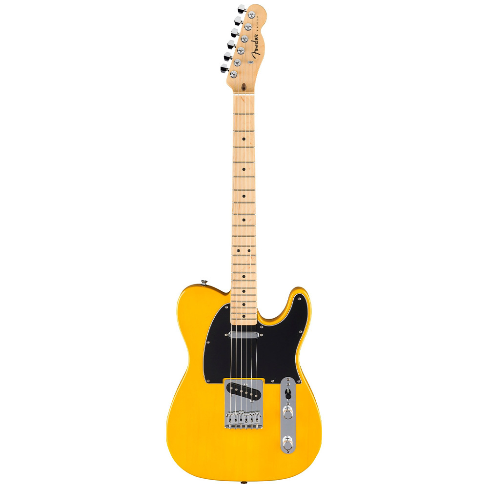 Fender Standard Telecaster Akçaağaç Klavye Butterscotch Blonde Elektro Gitar - Görsel 3