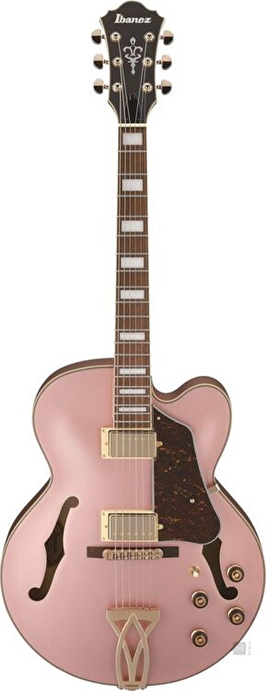 IBANEZ AF75G-RGF Elektro Gitar - Görsel 2