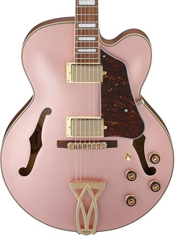 IBANEZ AF75G-RGF Elektro Gitar - Görsel 3