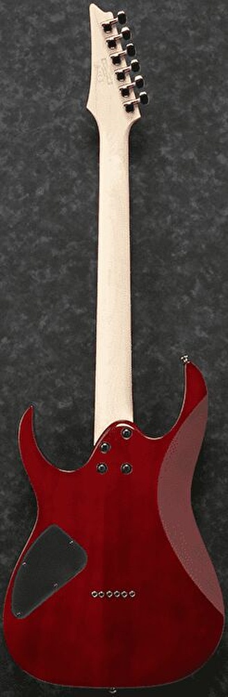 IBANEZ RG421-BBS Elektro Gitar