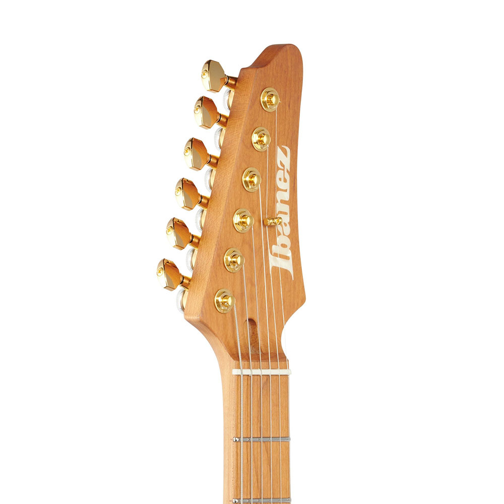IBANEZ SLM10-TRM Signature Serisi Elektro Gitar