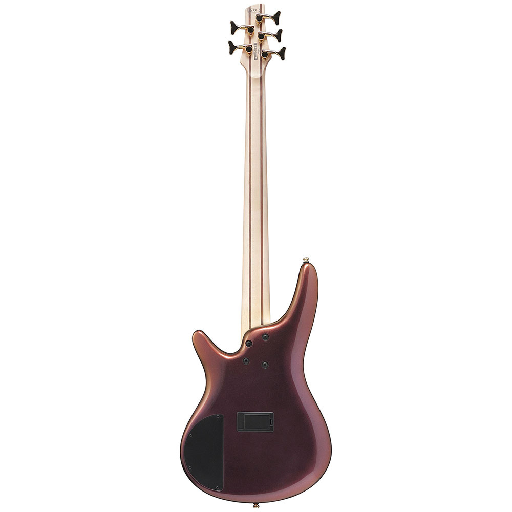IBANEZ SR305EDX-RGC SR Serisi Bas Gitar - Görsel 3