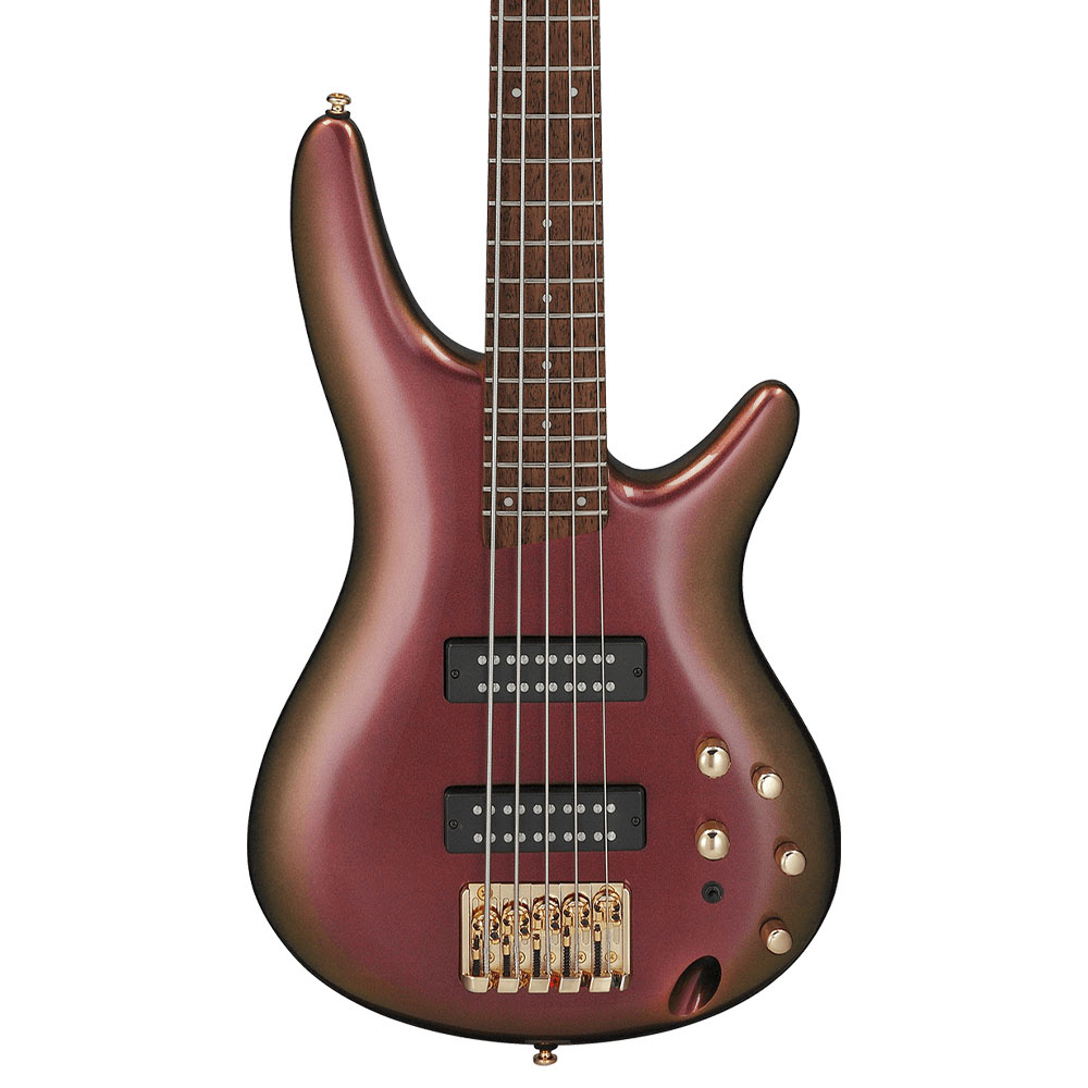 IBANEZ SR305EDX-RGC SR Serisi Bas Gitar - Görsel 4