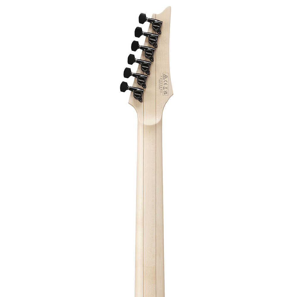 Ibanez RG565R-EB Genesis Serisi Elektro Gitar