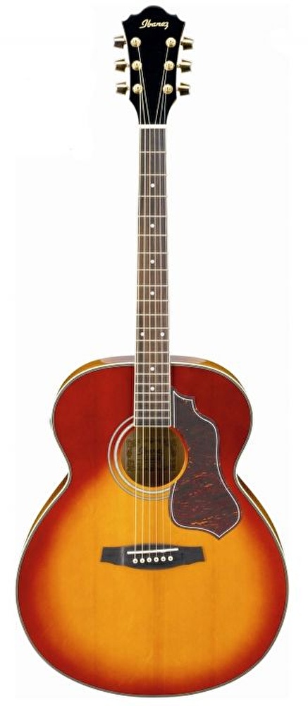 Ibanez SGT630E-HS E Akustik Gitar(Akort Cihazlı)