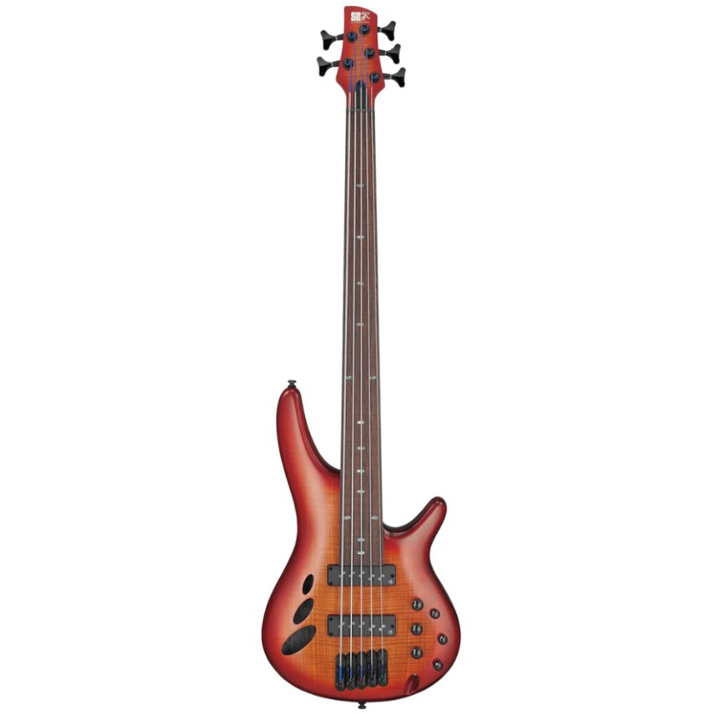 Ibanez SRD905F-BTL Bas Gitar - Görsel 3