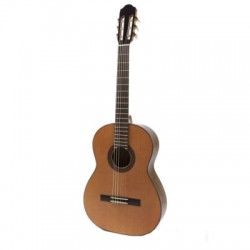 Raimundo Model 660 Elektro Klasik Gitar