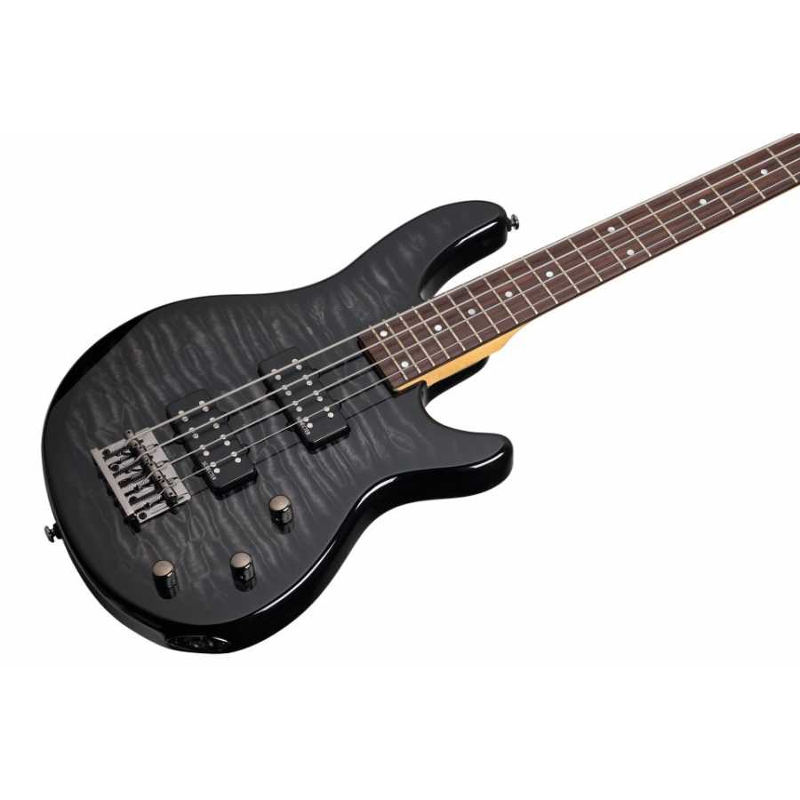 Schecter Raiden Special-4 Bas Gitar (See-Thru Black) - Görsel 2