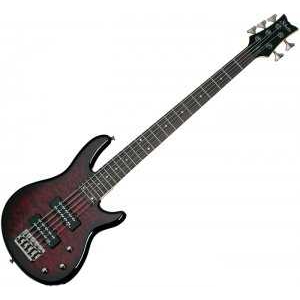 Schecter Raiden Special-5 Bas Gitar (Black Cherr) - Görsel 3