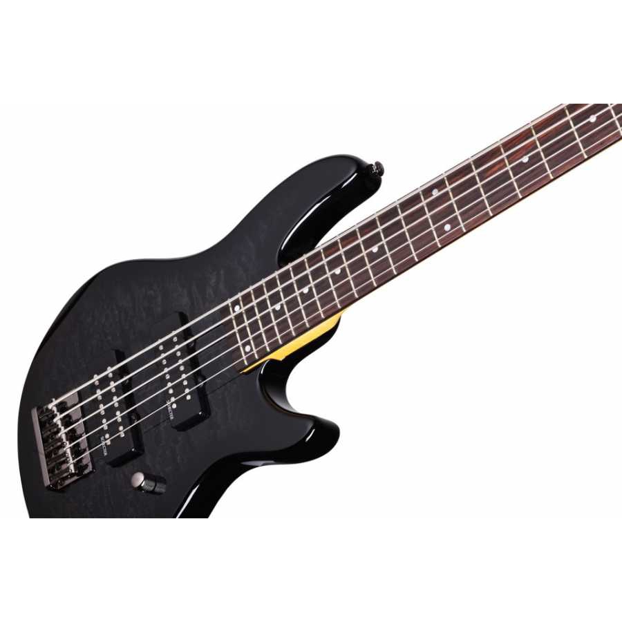 Schecter Raiden Special-5 Bas Gitar (See-Thru Black) - Görsel 2