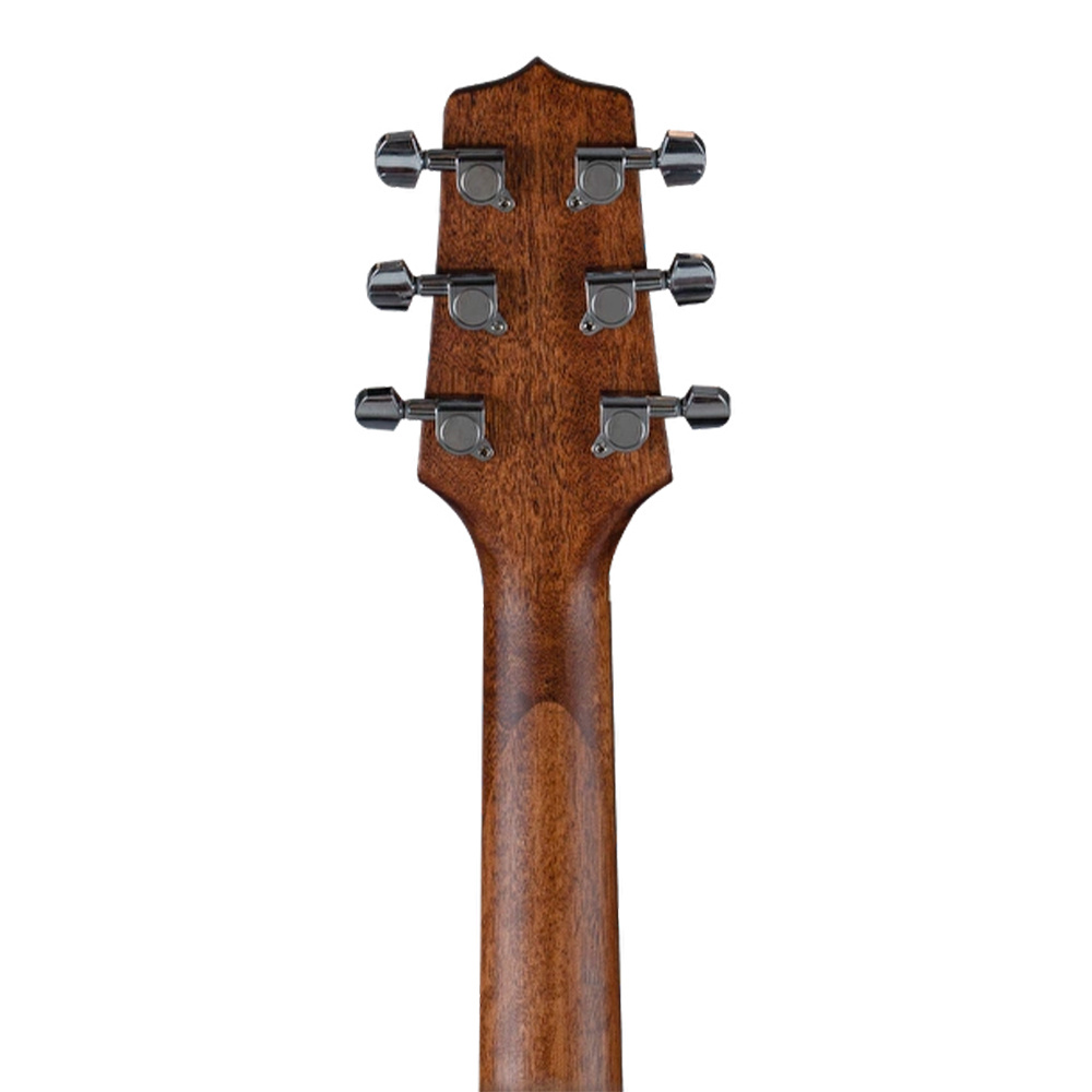 TAKAMINE GN10CELH NS SERIES 10