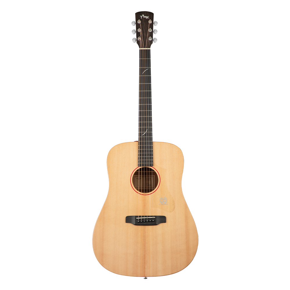 TYMA TD-5 Akustik Gitar - Görsel 9