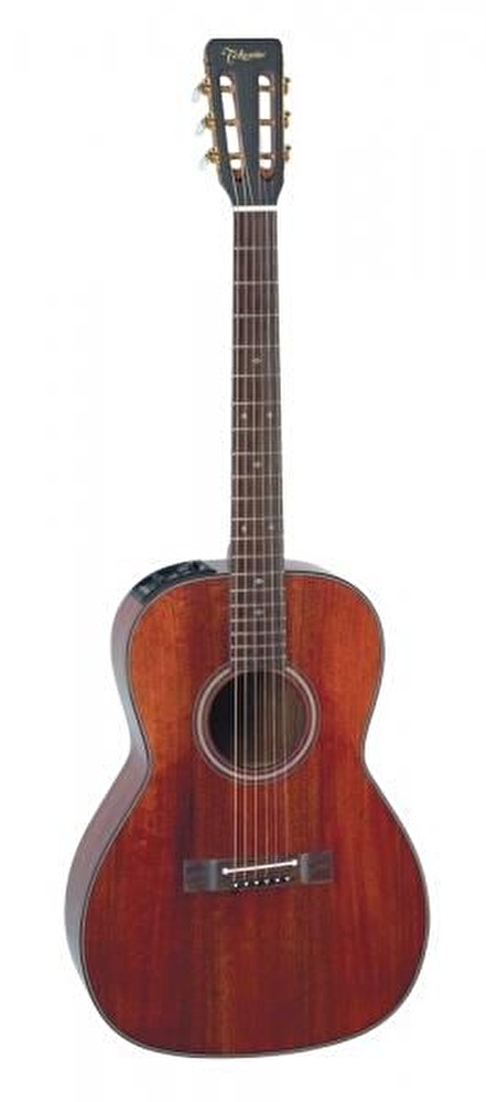 Takamine EF407 Elektro Akustik Gitar