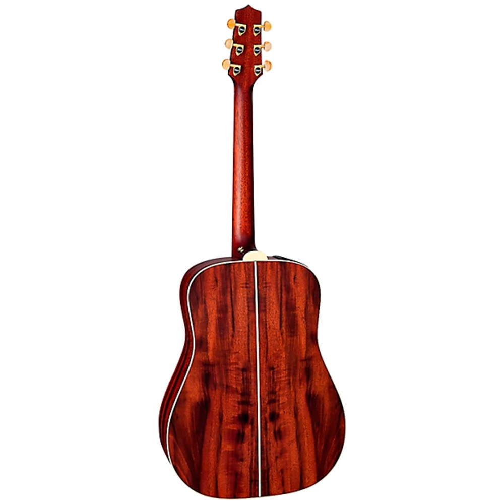 Takamine FN15 AR Limited Edition Dreadnought Elektro Akustik Gitar - Görsel 3