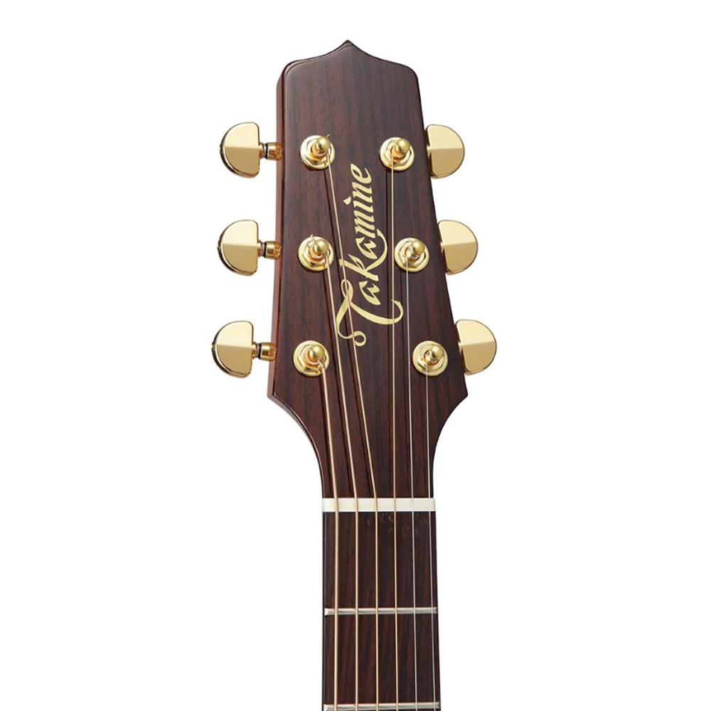 Takamine P5DCWB Elektro Akustik Gitar