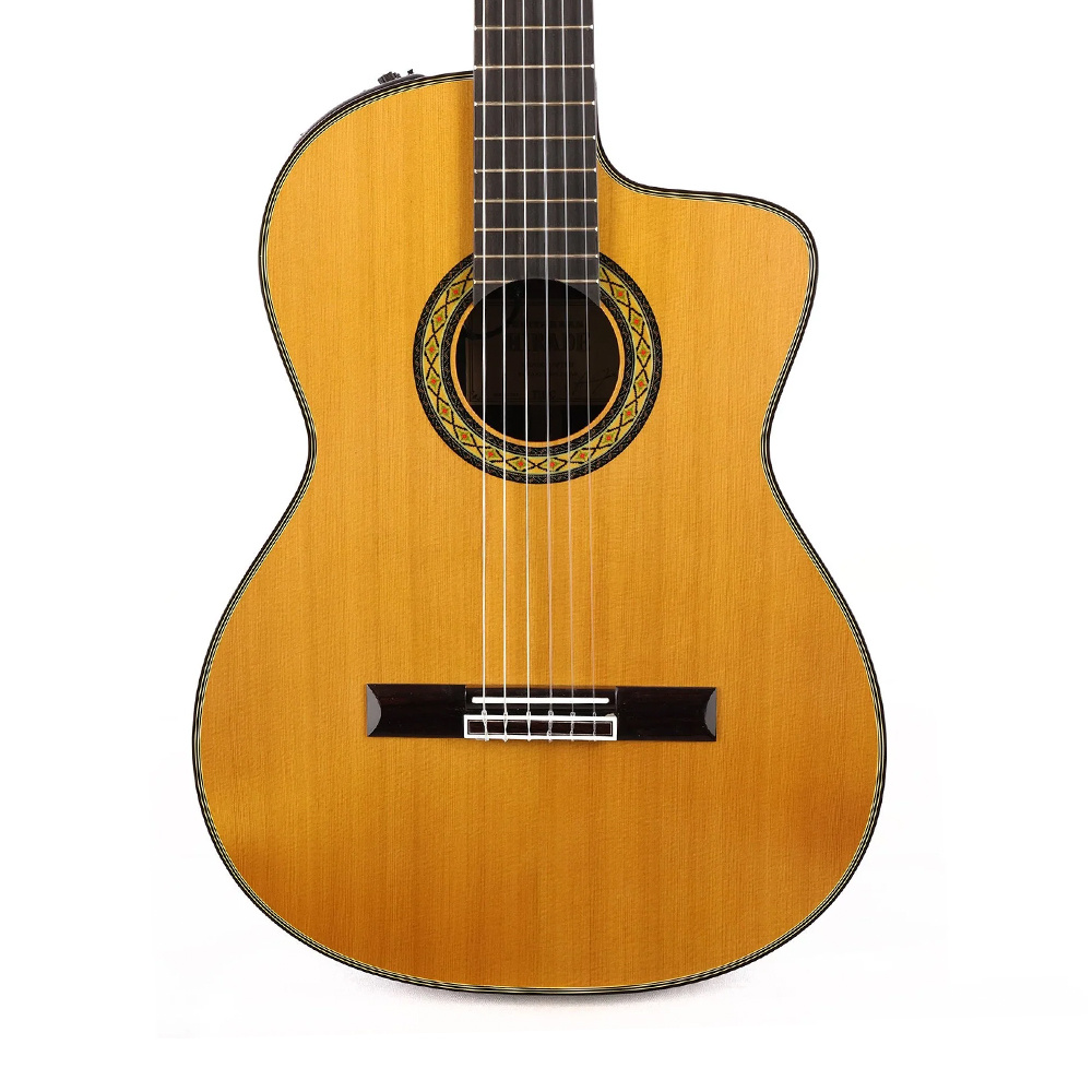 Takamine TH5C Elektro Klasik Gitar - Görsel 6