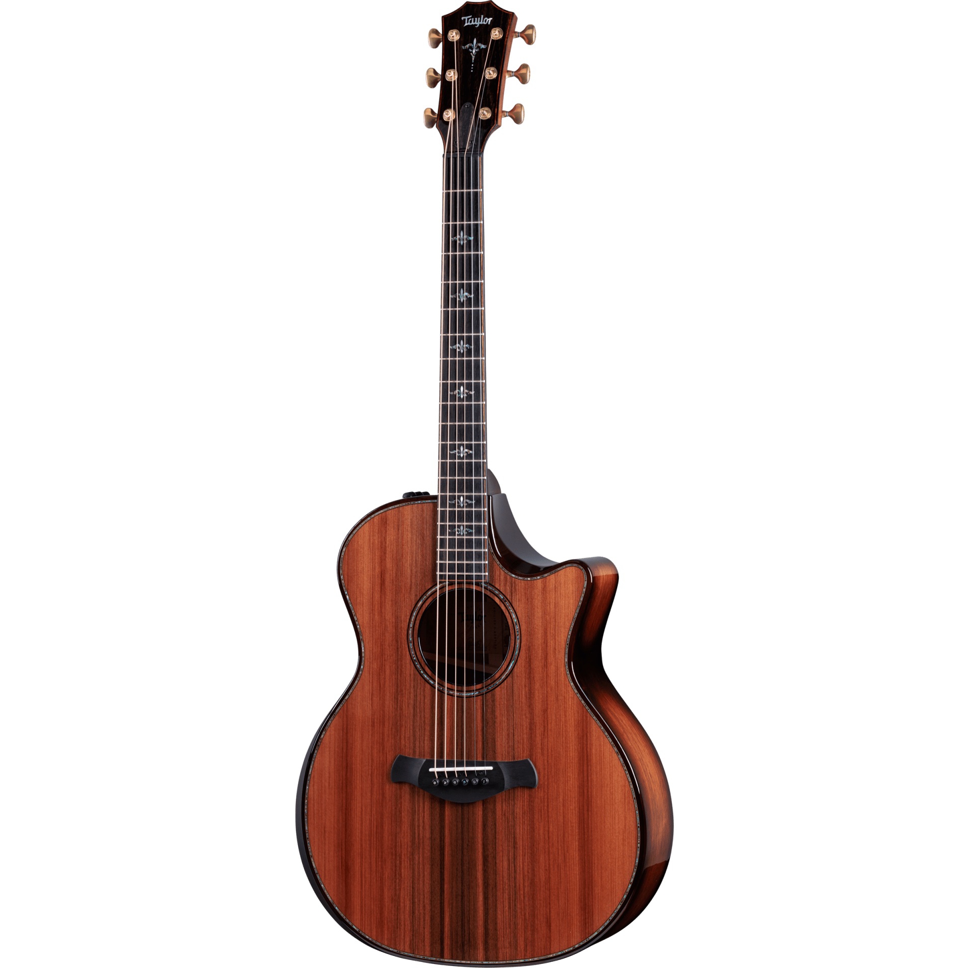 Taylor Builder's Edition 914ce Elektro Akustik Gitar (Sinker Redwood)